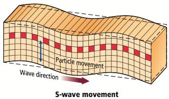 S-Wave Secondary Waves - second set of waves felt Motion causes rocks to move at right angles in