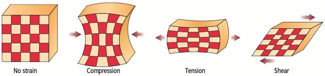 Types of Faults Fault - any fracture or system of fractures along which Earth moves 3 types Reverse (thrust) - compression