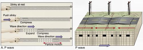 Primary (P) waves Seismology Types of seismic waves Body waves Secondary (S) waves Shake motion at right angles to