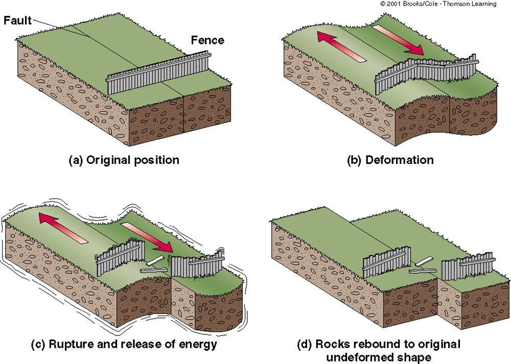 Elastic Rebound Theory The elastic rebound theory is an explanation for how energy is spread during earthquakes.