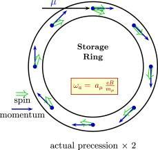 Principles of measuring a μ Consider μ + in a B field (storage ring) with...and a spin precession (Larmor) frequency.