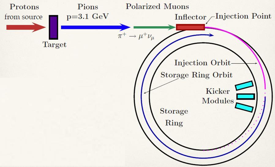 Standard Model: a μ = 116 591 80 ± 49 10-11 (0.