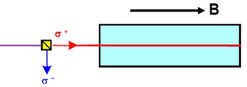 Probe schematic/concept I Two alternative design (a) Whole Optical and RF circuitry in one (b) Separating optical Pumping section from NMR coil Field should be parallel to laser beam for optical