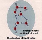 ydrogen bonded to a