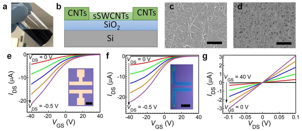 Figure S2. Fully-printed all-cnt back-gated TFT on Si/SiO 2 substrate. a, Photograph of the unsorted carbon nanotube ink.