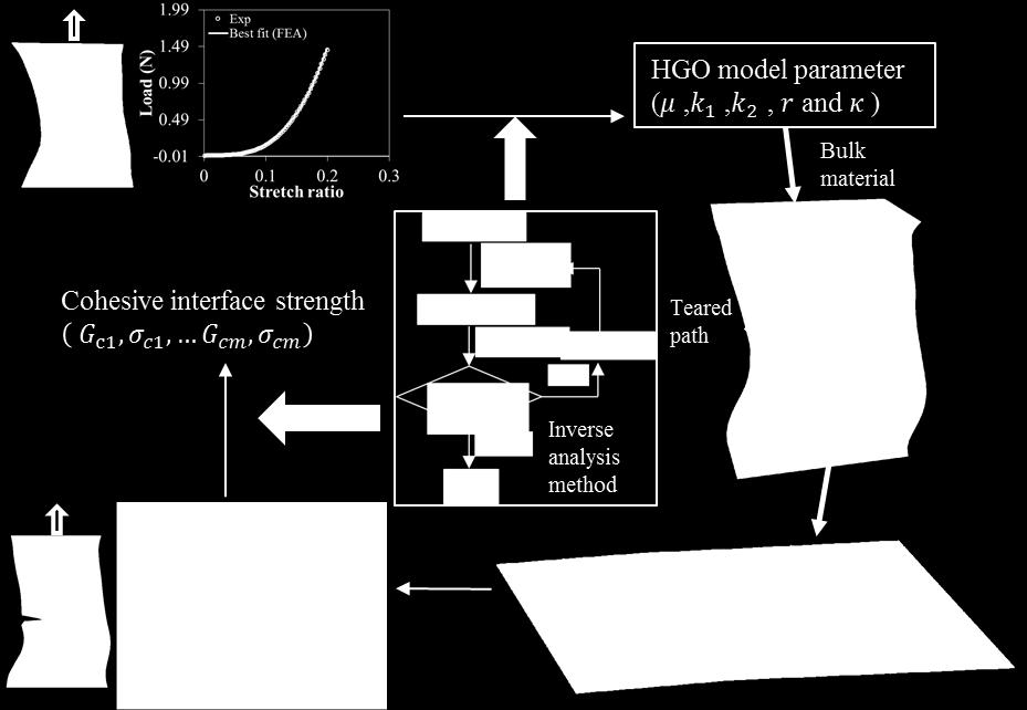 objective function achieved an acceptable value, which are shown in Table 1. Table 1. Best-fit parameters for the HGO model of human fibrous cap samples under uniaxial tensile tests.