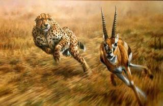Predator adaptations focus on chasing & killing;