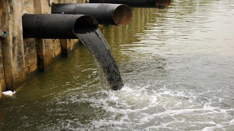 Water pollution is not a negative impact on the