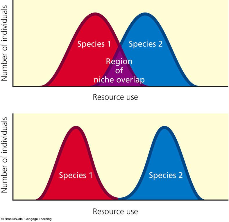 Resource petitioning is a way for species to avoid the Principle of