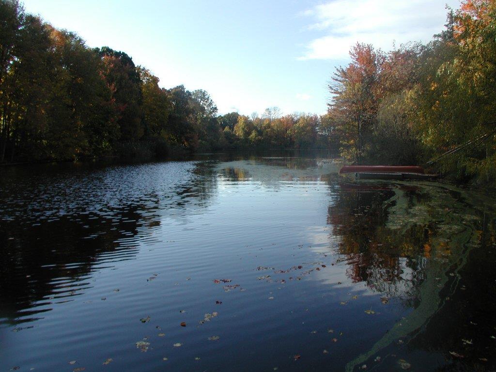 Freshwater: Lakes and Ponds Characteristics: