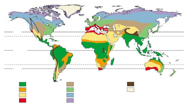 Major terrestrial biomes 30ºN Tropic of Cancer Equator