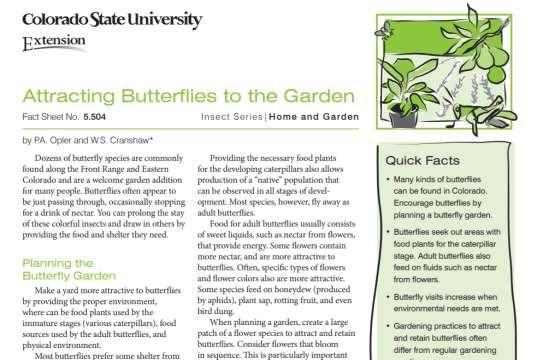 Resource used for promotion of butterfly