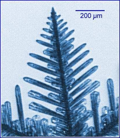 8 CHAPTER 1. INTRODUCTION Figure 1.3: Dendritic growth and formation of sidebranches in a needle-crystal structure (Courtesy of Prof. Ken Libbrecht, Physics Dept., Caltech, Pasadena, USA).