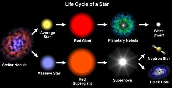 Giant Star: outer layer expands White Dwarf: extremely dense Black Dwarf: dead o Higher Mass Stars Super Giant: Fusion continues until iron is formed EXPLOSION: No more nuclear fusion Super Nova: