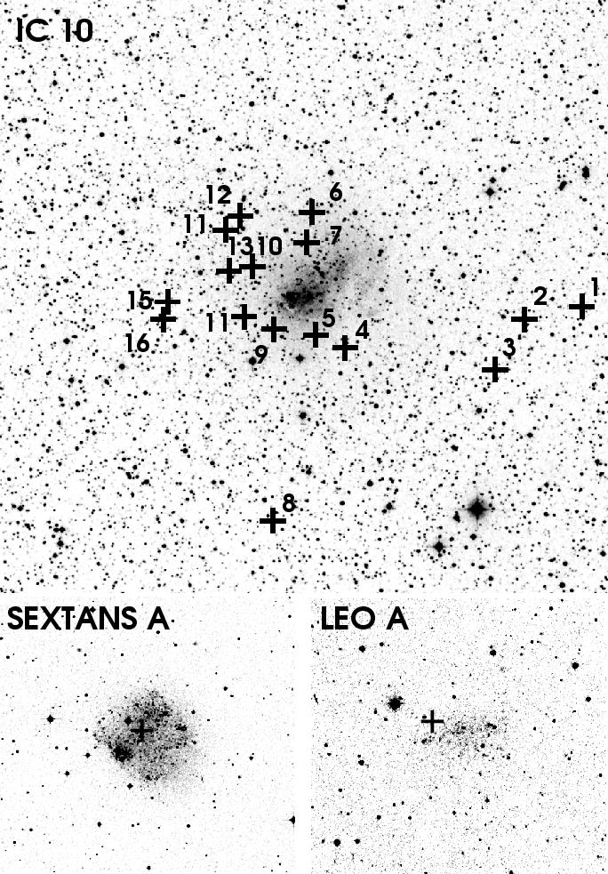 Magrini et al. (2003) have surveyed a number of Local Group dwarf galaxies for PNe.