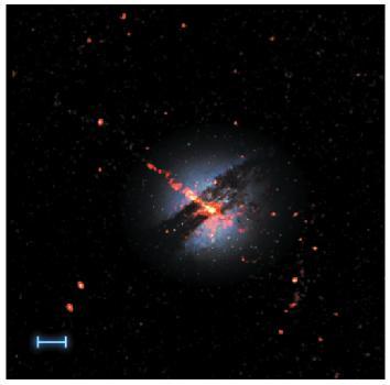 Black Hole Finder Probe: Science Goals Beyond Einstein science perform a census of black holes throughout the Universe determine how black holes evolve observe stars and gas plunging into black holes