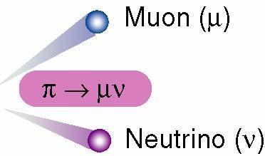3 GeV Nuclear & Particle Physics at