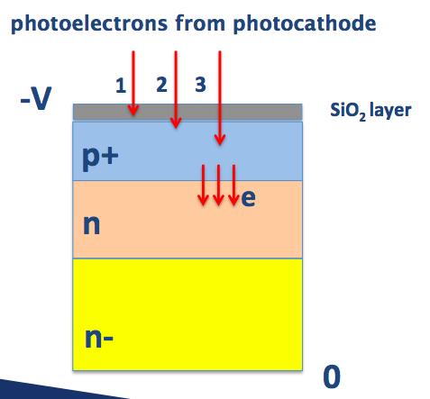 SiPM photoelectron trigger efficiency Phenomenology Defini3on ε total (PDE) = ε photocathode x ε fill-factor-sipm x ε trigger x ε focusing ε photocathode = photocathode efficiency (fixed number