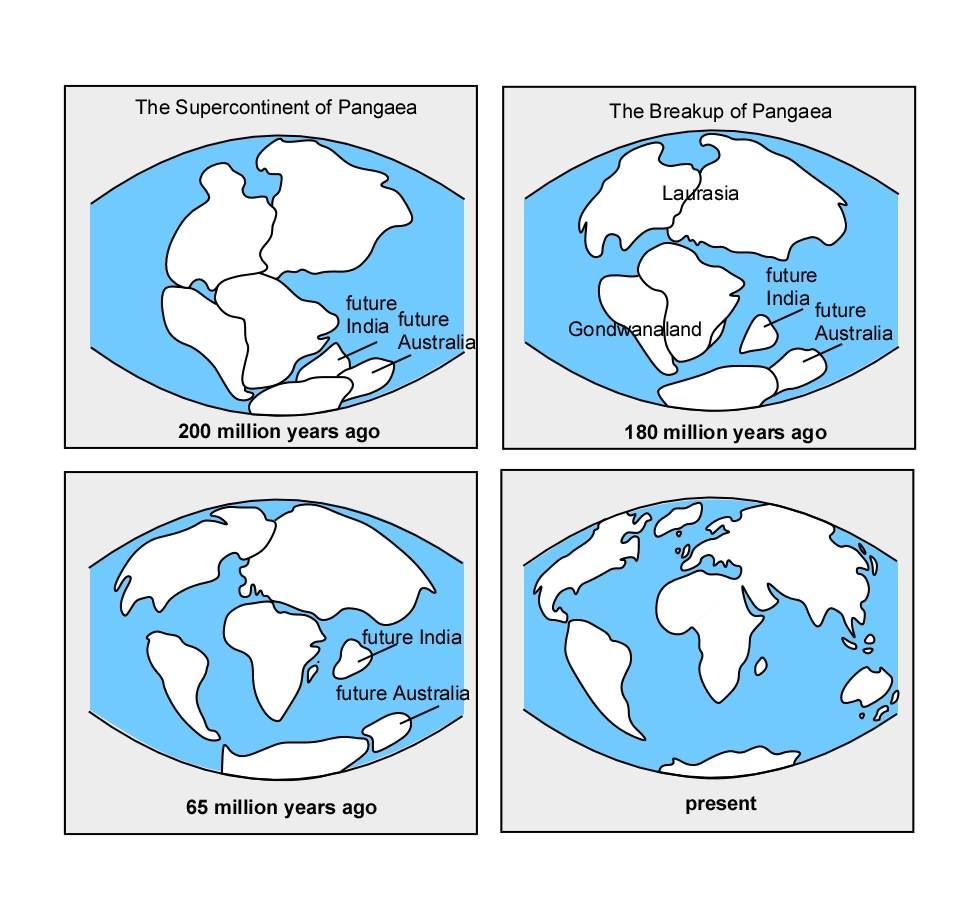 The gradual movement of the continents across the earth's surface over a