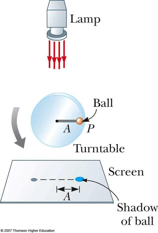 SHM and Circular Motion This is an overhead view of a device that shows the relationship between SHM and circular motion As the ball rotates with constant angular speed, its shadow