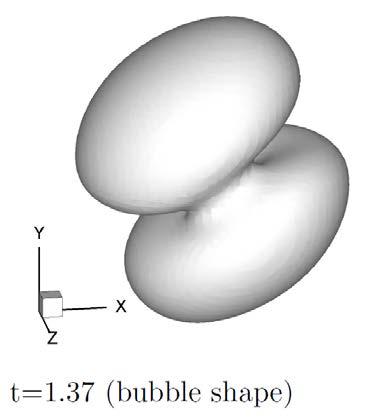 Calculation of bubble dynamics and