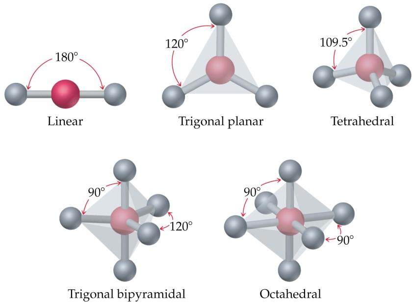 Molecular Geometry Basic Molecular Shapes We count only the atoms when describing