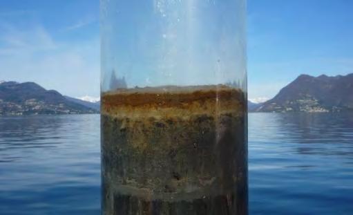 Undisturbed sediment core Toxicity test (lab) Bioaccumulation test (lab) DDT analysis in aquatic