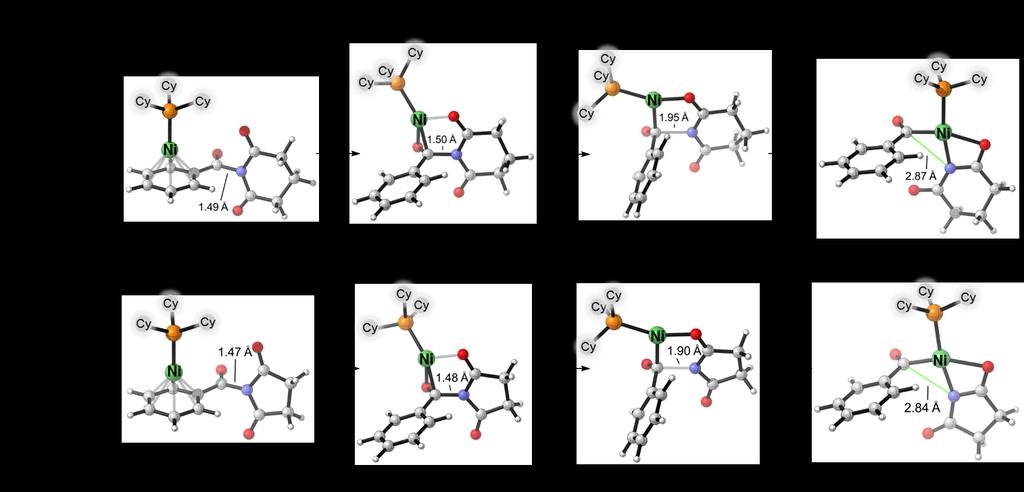 Comparisons between the N-glutarimide and N-succinimide amides in the Ni/PCy 3-mediated C N bond activation. Figure S3.