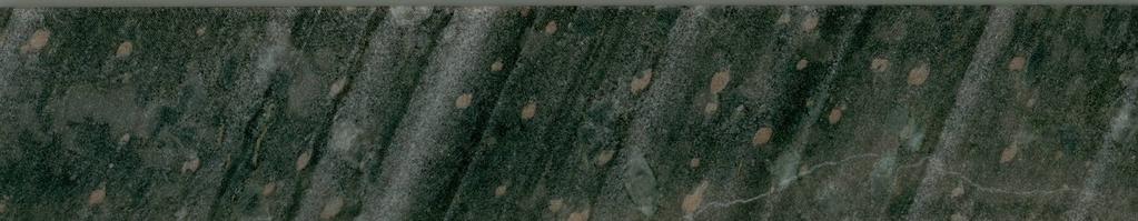 LOCAL GEOLOGY PASSIVE MARGIN? Halite Pseudomorphs (scapolite) Playa lake sabkha setting KN01 523.