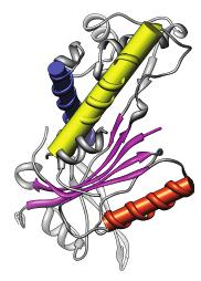 b, rystal structure of a RISPR specific endoribonuclease