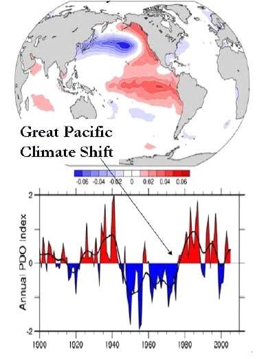 Each warm PDO phase lasted about 25 to 30 years then switched to the cool phase and vice versa.