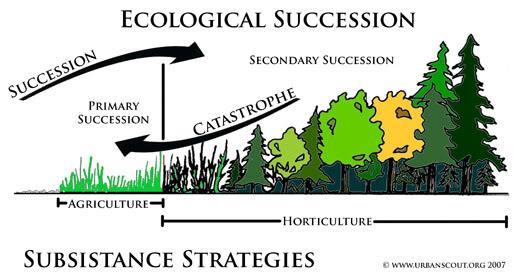 Can you observe succession?