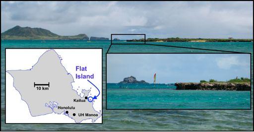 Waimanalo Coral Reef was formed ~125,000 years ago During the Last