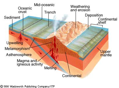3) Regional Metamorphism - occurs when 2 lithospheric plates collide and squeeze and deform rocks as a result - highly deformed - associated with mountain building - produces most metamorphic rocks;