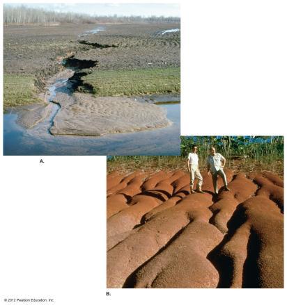 19 erosion Recycling of Earth materials Natural rates of soil erosion depend on