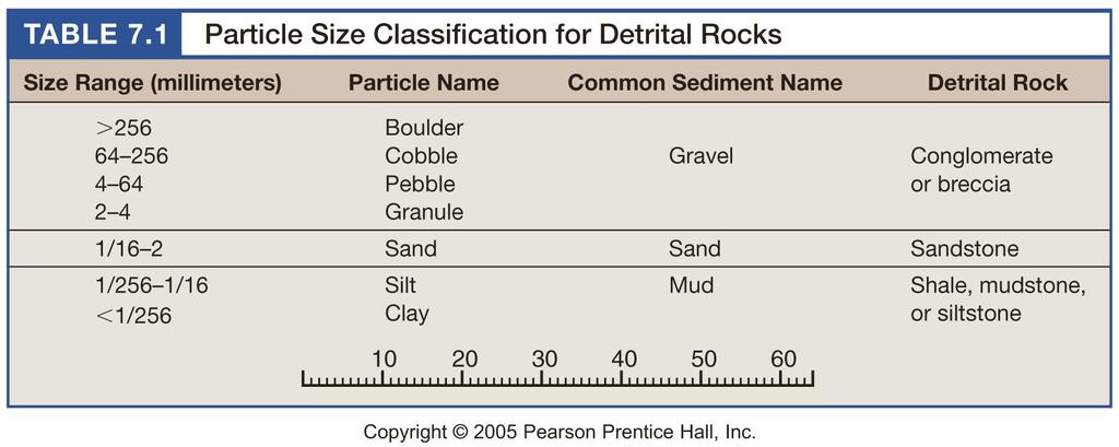 Detrital Sedimentary Rocks Detrital rocks are