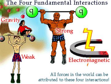 Fundamental Forces Gluons (g) for strong force Quarks experience them. Protons & neutrons form.