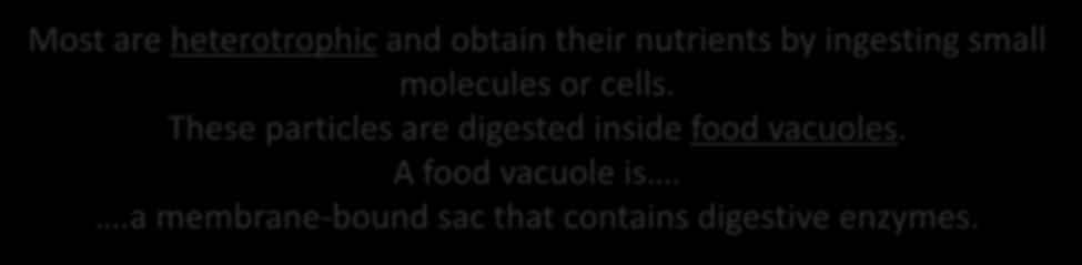 .a membrane-bound sac that contains digestive