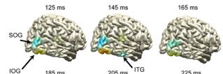 Nature; Sudre et al. (2012). Neuroimage; Carlson et al.