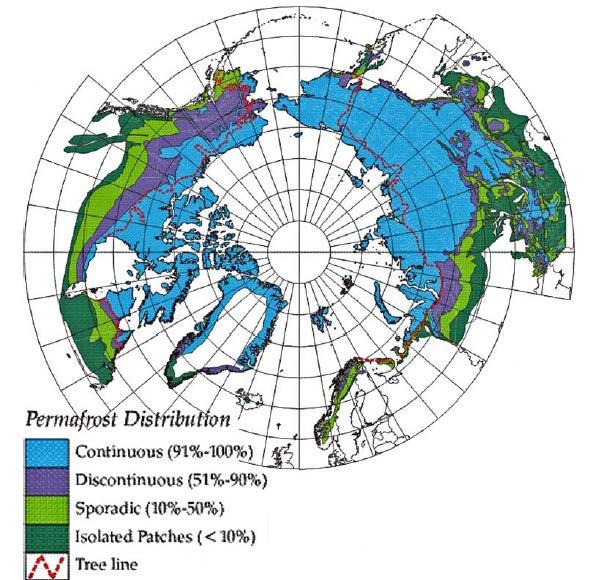 Boreal and Arctic Carbon Boreal Forests Longer growing season and increase in disturbances may enhance or reduce their net