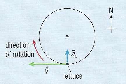 Centipetal Acceleation Example #2: a) A salad spinne with a adius of 9.7 cm otates clockwise with a fequency of 12 Hz. At a given instant, a piece of lettuce is moving in the westwad diection.