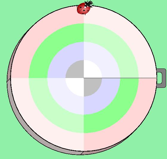 Do Now A ladybug is sitting on a rotating platform relying on friction to avoid falling off. a) Draw a FBD for the ladybug.