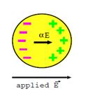 Proton Scalar Polarizabilities γ γ p p' Real Compton Scattering : RCS Polarizabilities: measures the response of the proton to an applied electromagnetic