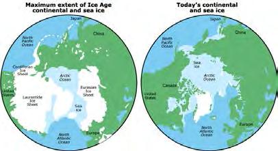 Within the icehouse stage, glacial and interglacial periods occur which last for less than 1 million years.