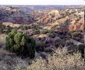Palo Duro Canyon was formed by water erosion from the Prairie Dog Town Fork of the Red River. 5.