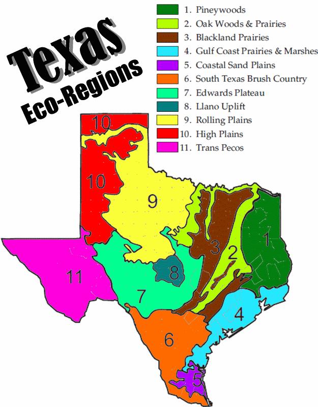 We will explore the Texas Ecoregions and learn the specifics of a few.