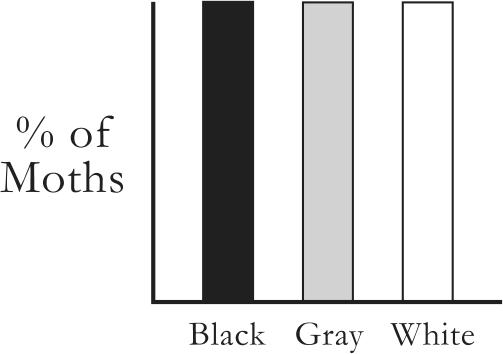 23. Students studying a moth population in the woods in Kentucky found the distribution of moth wing color shown in the graph below. The woods contained trees with bark that was mostly black.