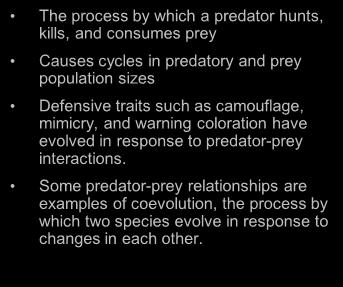 Predation (+/ ) The process by which a predator hunts, kills, and consumes prey Causes cycles in predatory and prey population sizes Defensive traits