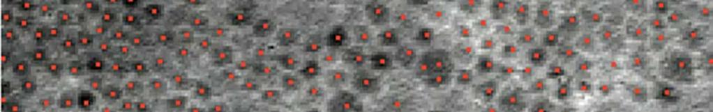Figure S3. Particles identified by the algorithm are marked with a red dot at their center.