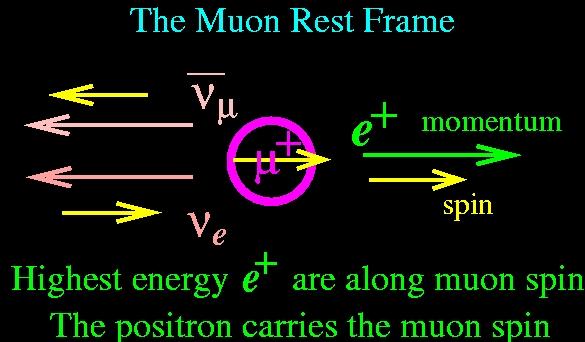 Death of the Muon Decay is self analyzing B.